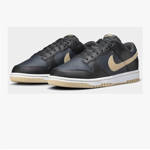 Nike Dunk Low Retro Men's Shoes DV0831-005 Black/Anthracite/Sesame Size 8.5.
